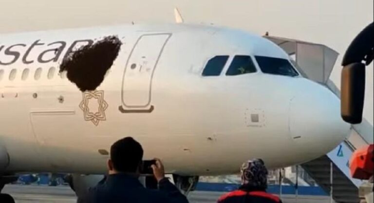 Bees Hijack Vistara Aircraft  Delay Flights By An Hour