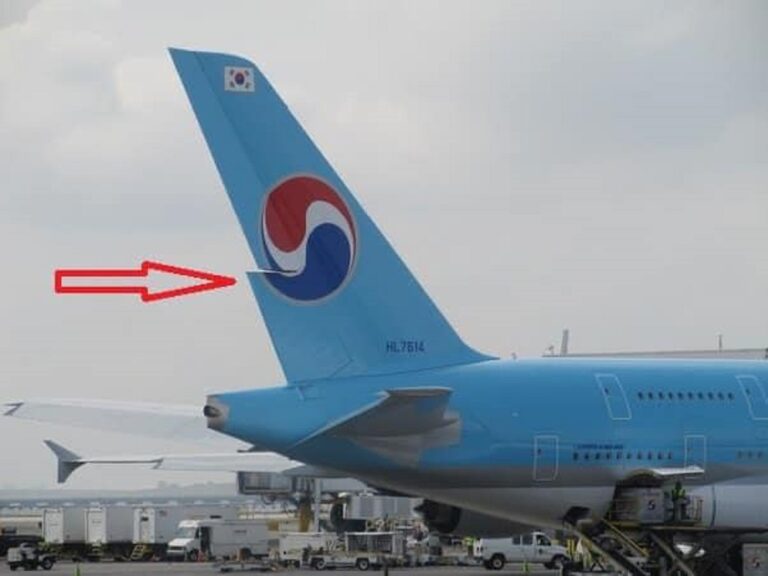 Why is the Rudder on an Airplane split?