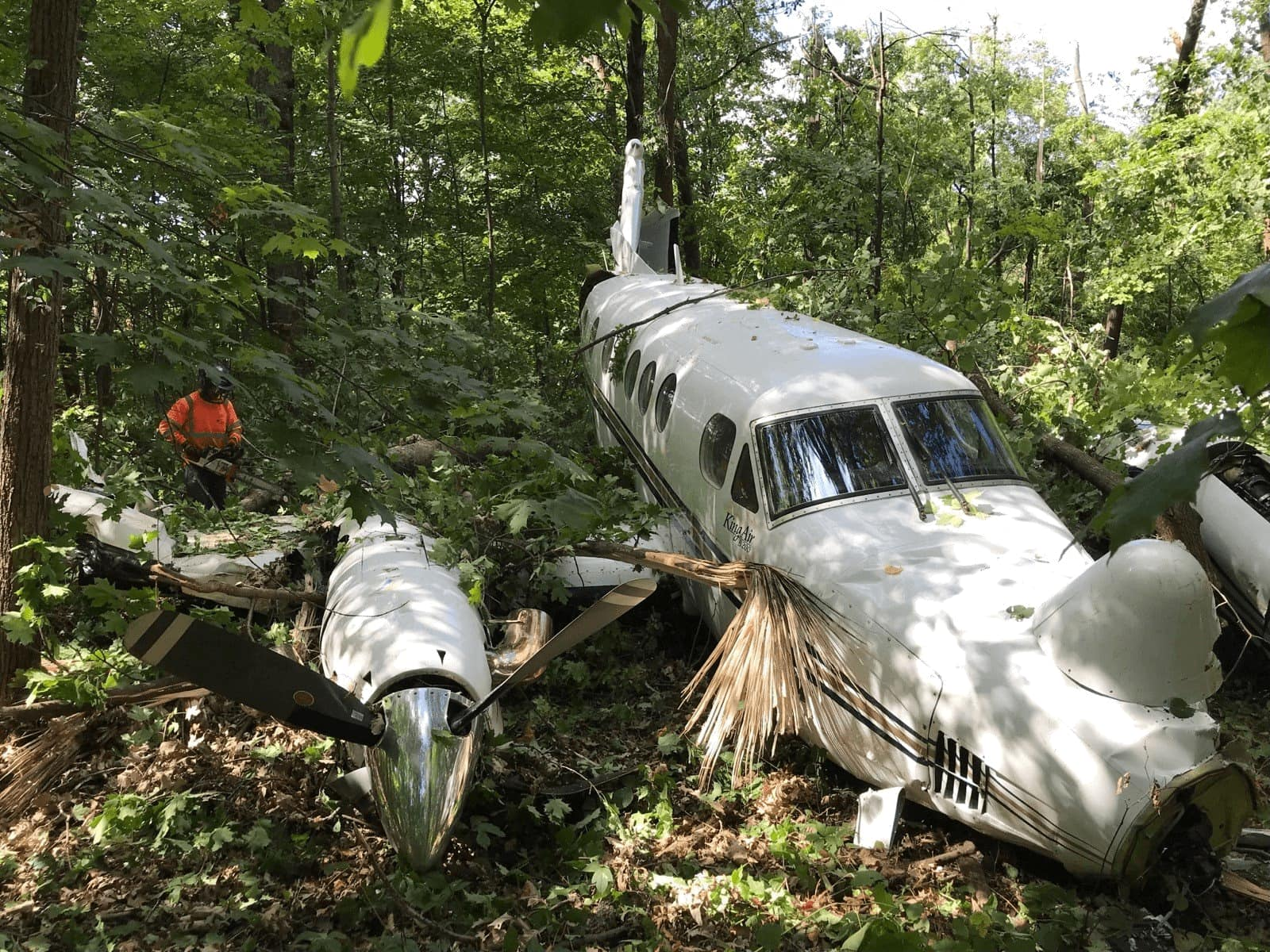 King Air Crashes in Busse Woods near Chicago’s O’Hare Airport due to Fuel Starvation