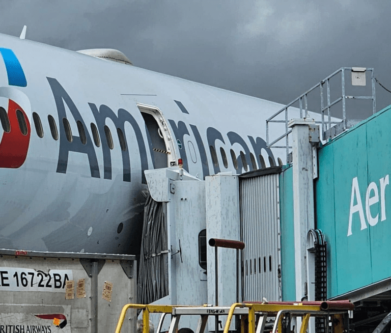 A door was ripped off a plane causing damage at Dublin Airport following an airbridge collapse at Terminal 2