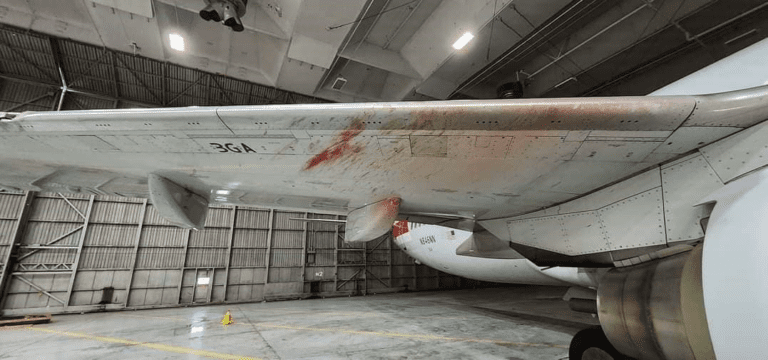 American Jet Strikes Birds on Landing