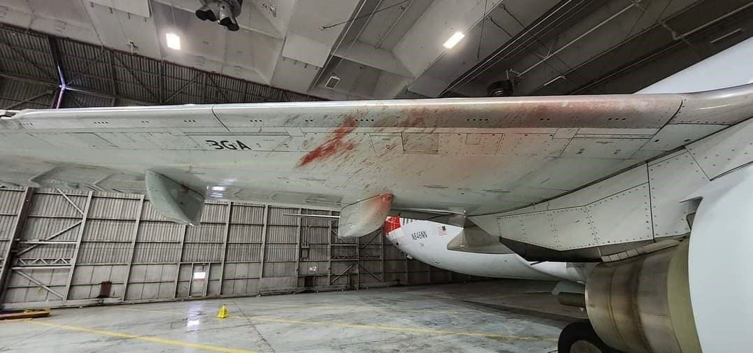 American Jet Strikes Birds on Landing