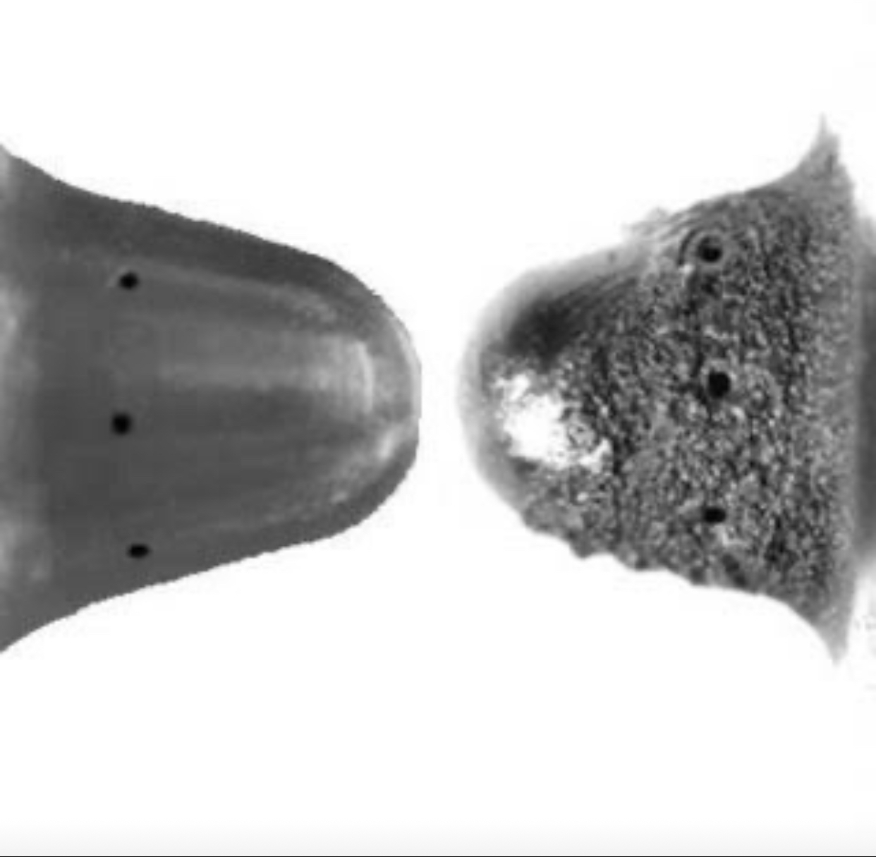 Fuel Nozzle Coking – RBS Update