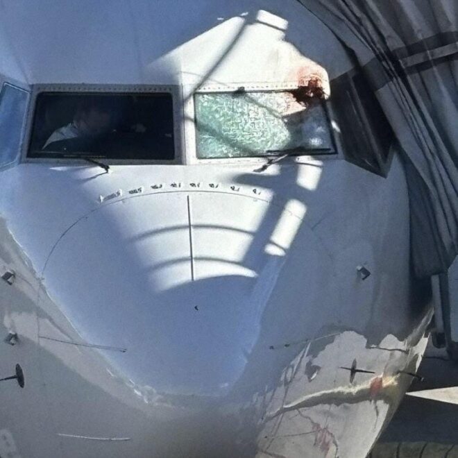 Goose attacks Boeing 737 MAX and injures Captain with shattered glass in Toronto Canada last Thursday 21 October, 2024