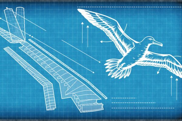 Open Fan Airbus Unveils Foldable Wing and Open-Fan Engine Designs for Next-Gen ...